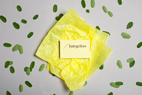 Integritas品牌VI视觉设计