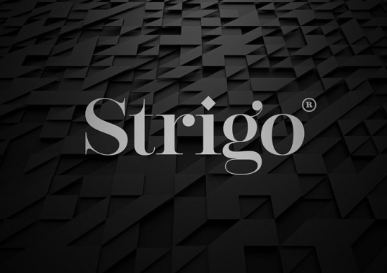 Strigo服装品牌形象设计 Strigo服装品牌形象设计