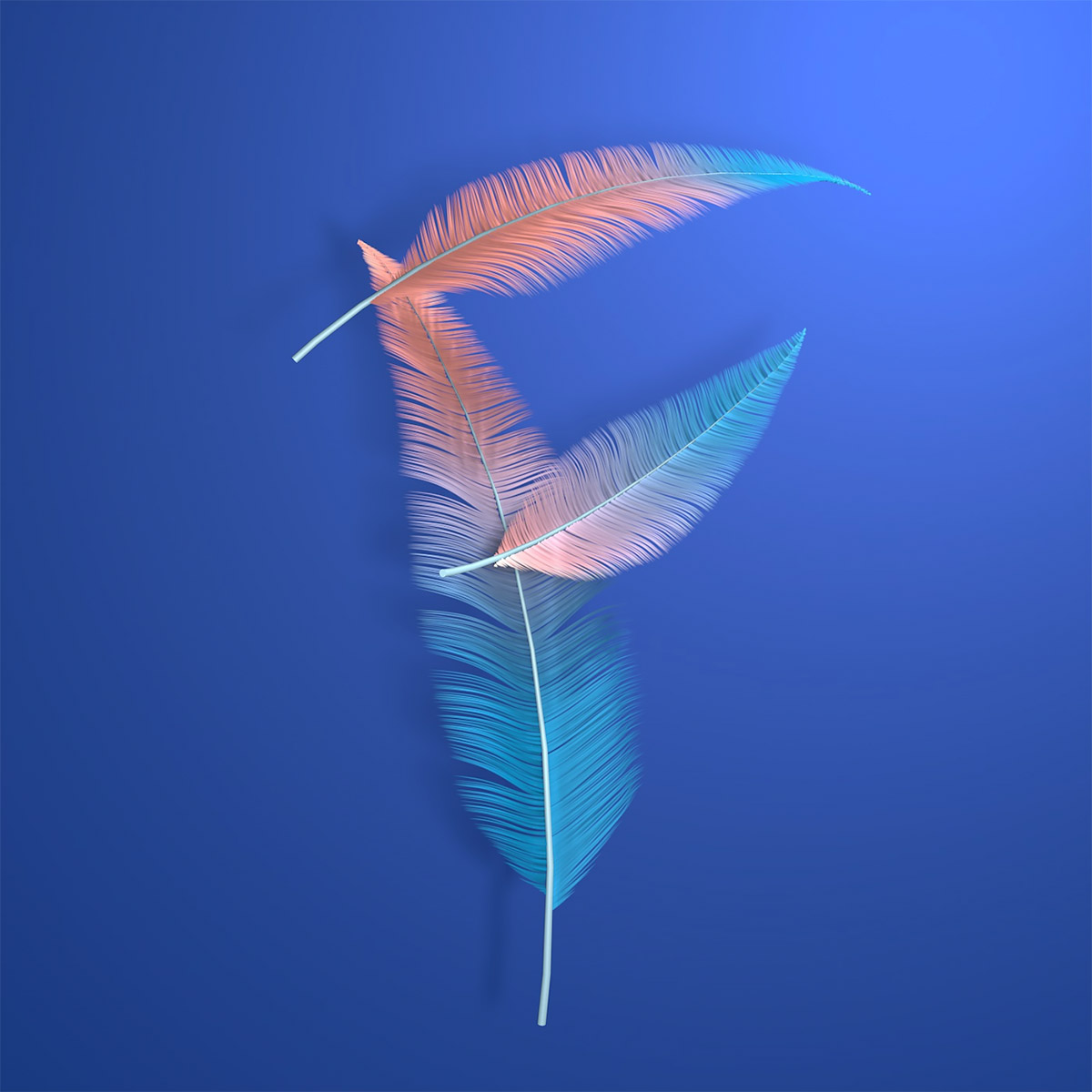 Anna Zinovieva创意3D字母设计 Anna Zinovieva创意3D字母设计