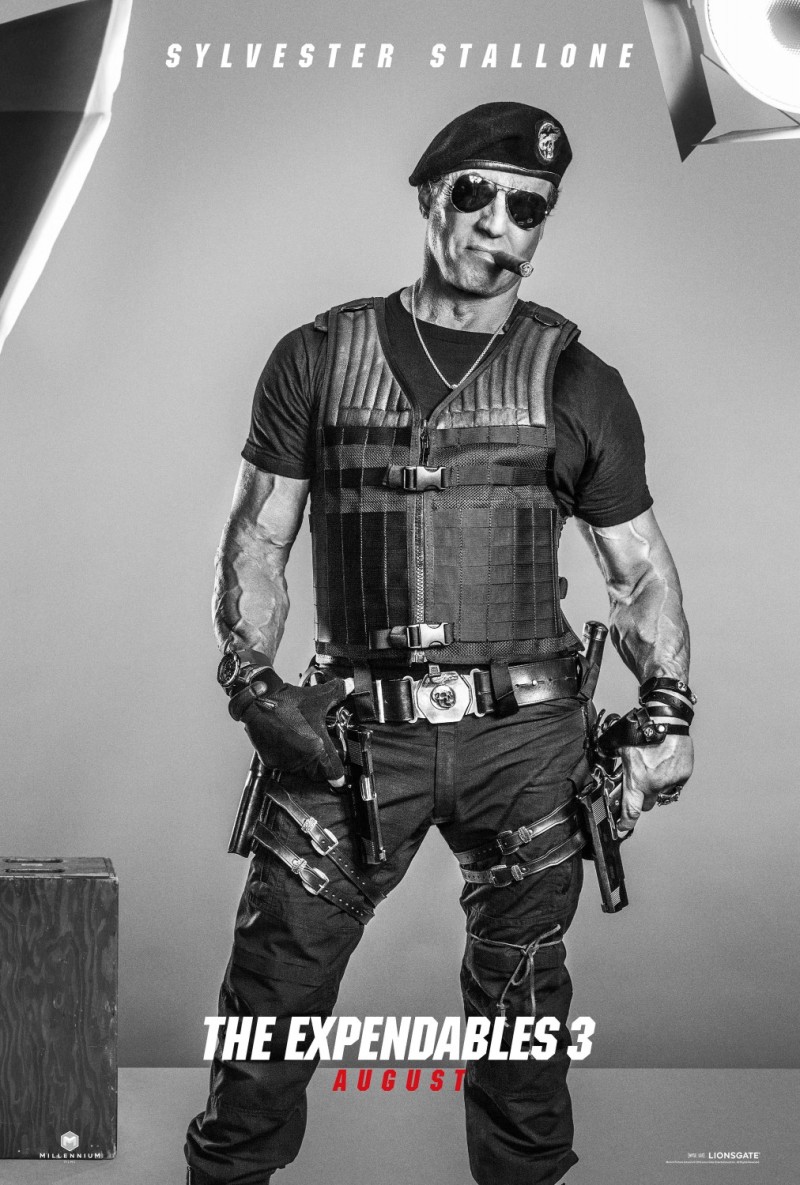 美国经典动作惊悚电影海报欣赏:敢死队3(The Expendables 3)