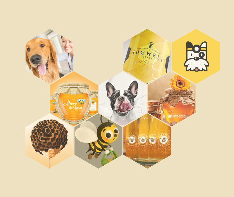 Doce Mel宠物店视觉形象设计 Doce Mel宠物店视觉形象设计