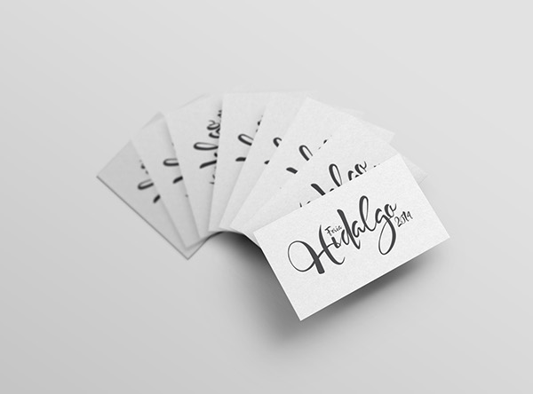 Feria Hidalgo 2014博览会视觉形象系统设计