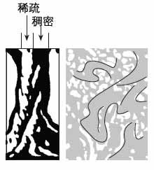 如何选择与图片搭配的字体