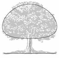 如何选择与图片搭配的字体