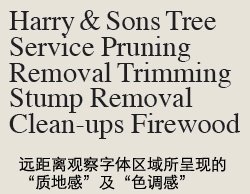 如何选择与图片搭配的字体