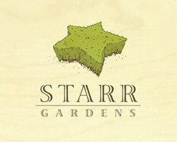 50款创意星形标志欣赏