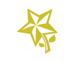 50款创意星形标志欣赏