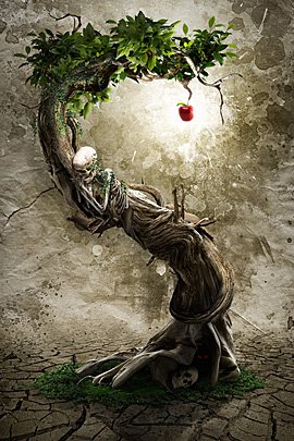 AnthonyHarmon照片合成和图形设计作品