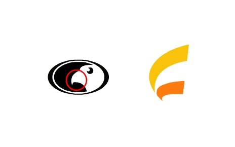 ranc标志设计欣赏