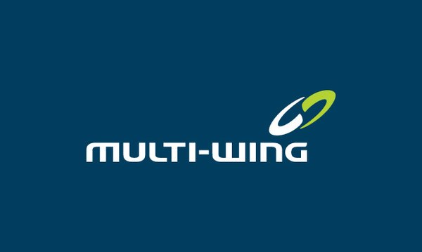 MULTI-WING品牌VI设计