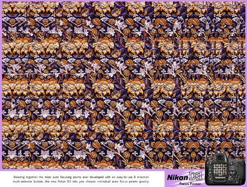 NIKOND3数码相机平面广告欣赏
