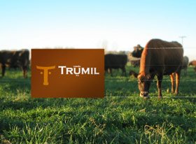 TRUMIL牛奶公司VI设计