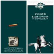 英伦城邦楼书设计，不一样的设计