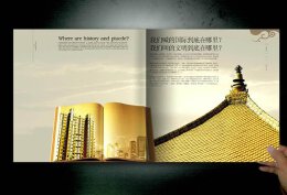 绿地世纪城楼书设计