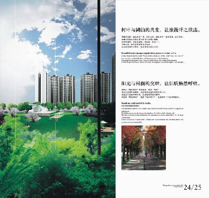 晶蓝半岛楼书设计