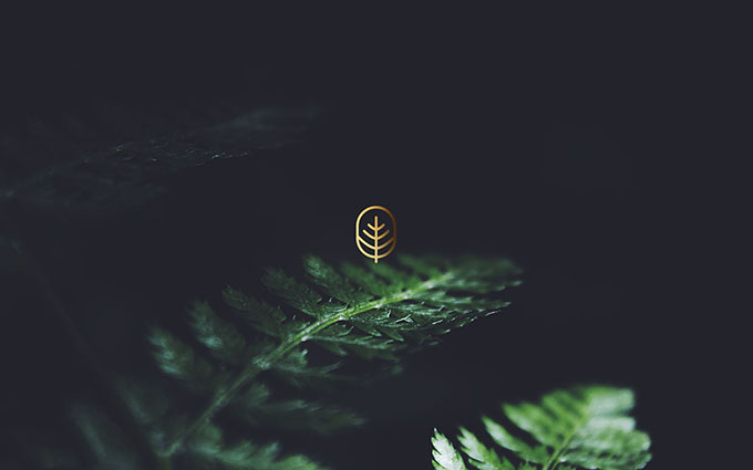 优秀Logo设计！意象的巧妙运用