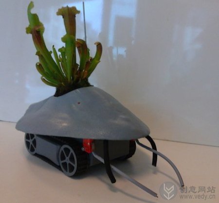 搬运盆栽植物的创意机器人
