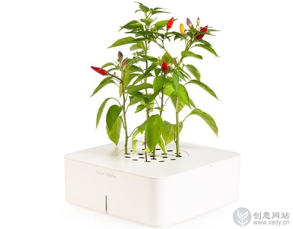 创意智能花盆的室内植物盆栽