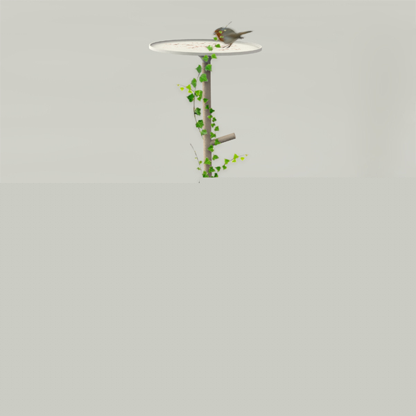 为鸟儿们设计的贴心落脚点