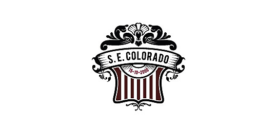 56个盾形的创意LOGO设计