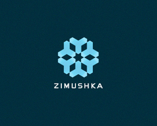 16个以雪花为主题的创意Logo设计