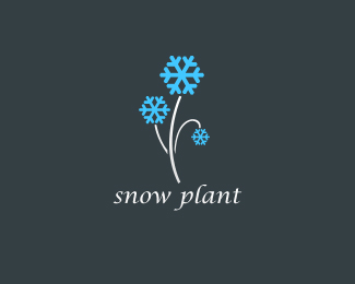 16个以雪花为主题的创意Logo设计