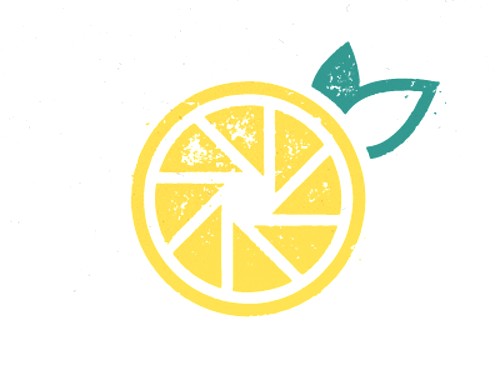 50个关于照相机的创意Logo设计