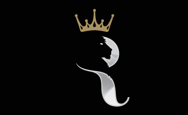 60个公司企业的创意Logo设计