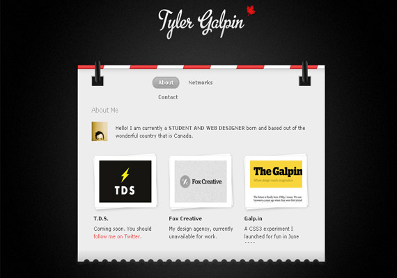 tylergalpin 关于我们的创意网页设计