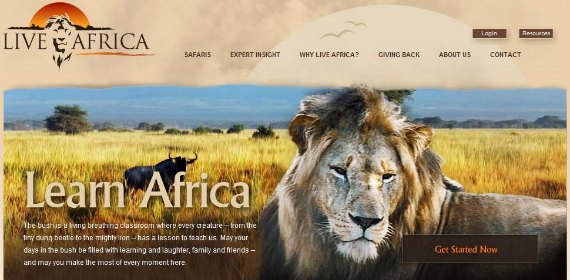 live africa 以旅游酒店为主题网站设计