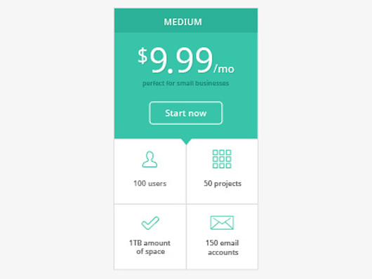 Pricing Table 2 最新价格表单设计欣赏