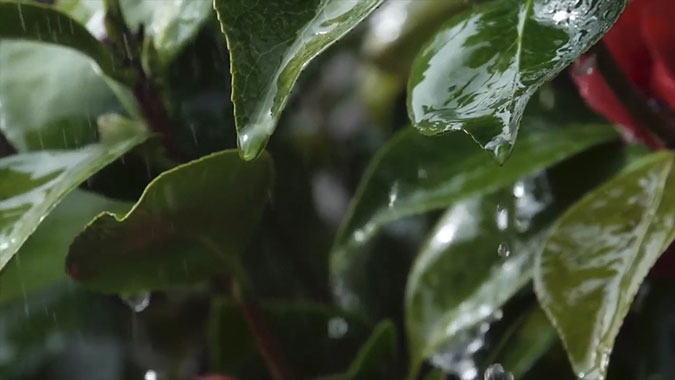 一条可以听的治愈广告 肯德基《雨和炸鸡》 一条可以听的治愈广告 肯德基《雨和炸鸡》
