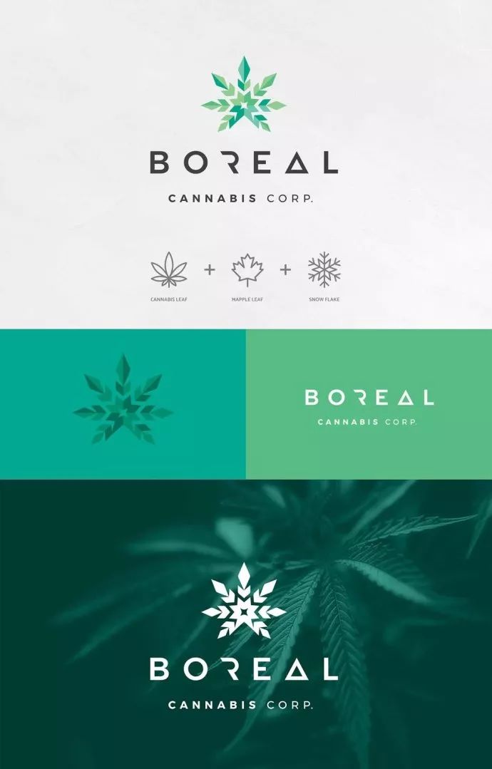 Boreal茶叶包装设计