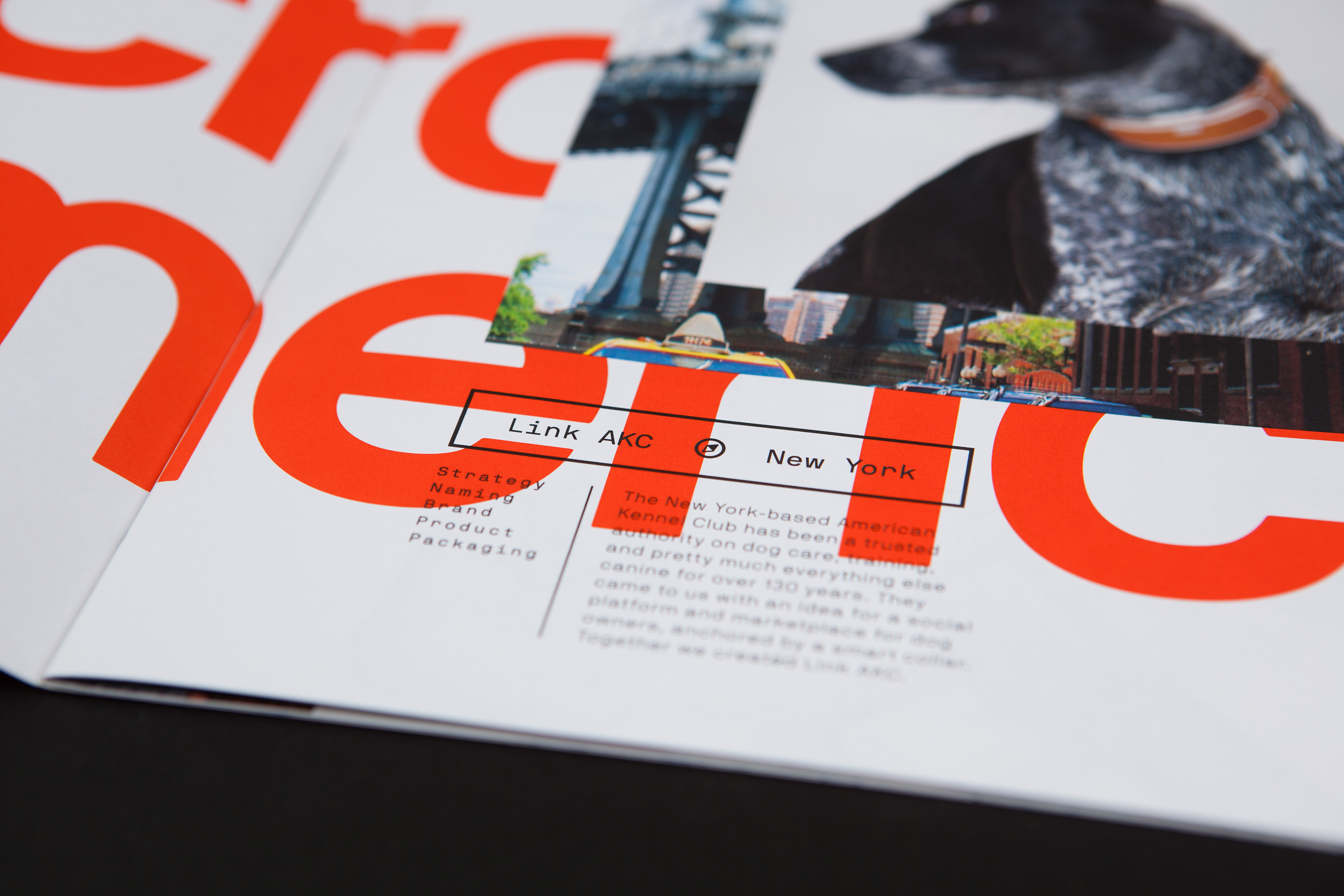 Design Across America画册设计