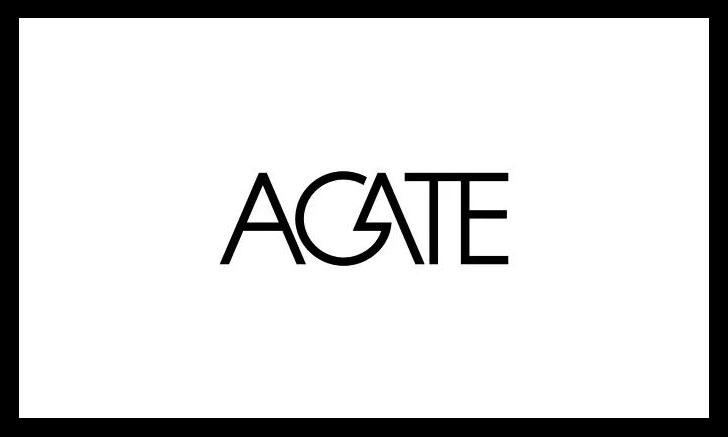 21个简约美观的黑白LOGO设计