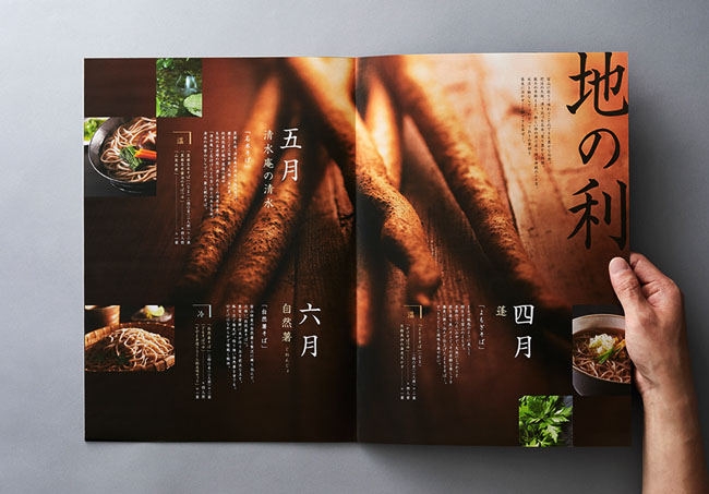 日本荞麦面品牌宣传册设计