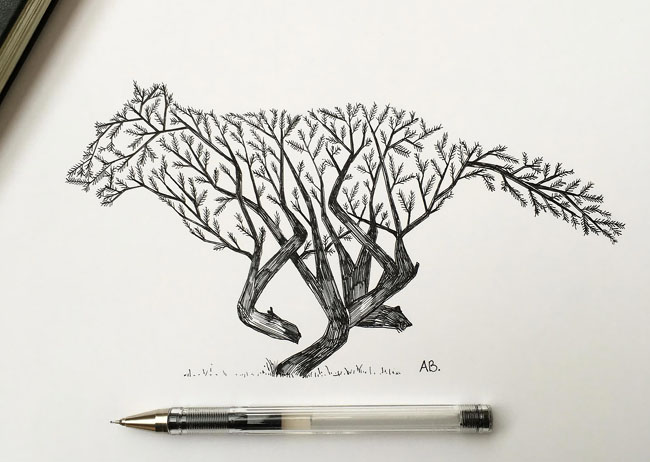 Alfred Basha创意手绘动物插画设计