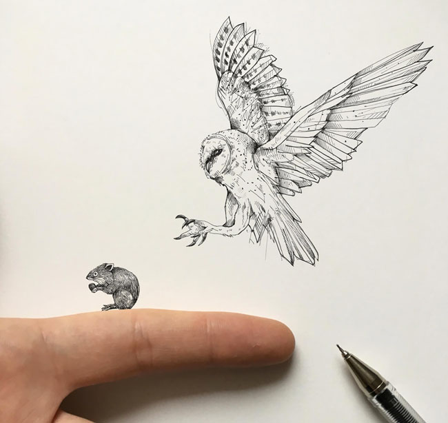 Alfred Basha创意手绘动物插画设计
