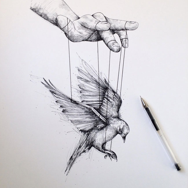 Alfred Basha创意手绘动物插画设计