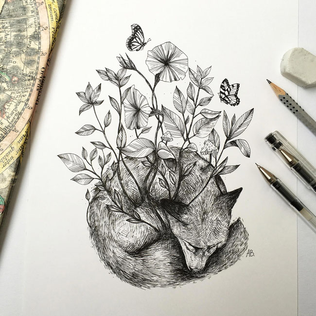 Alfred Basha创意手绘动物插画设计