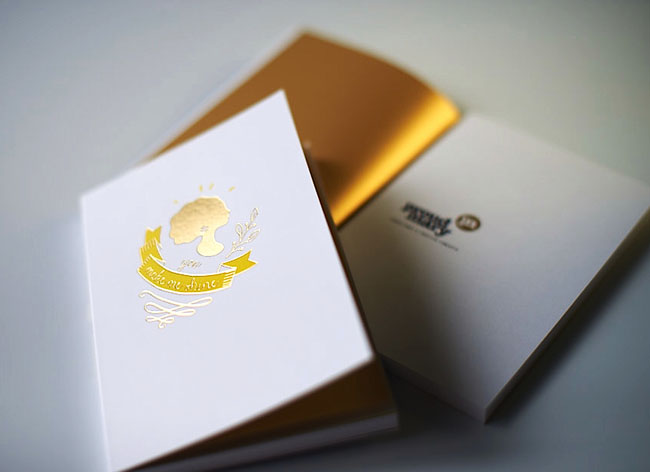 漂亮的Proud Mary小型画册设计