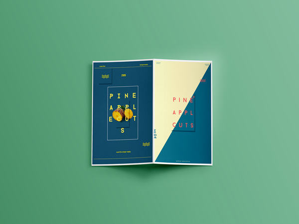 25款国外优秀画册设计作品NO.5