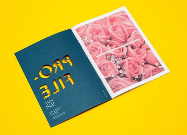 优秀国内外画册作品案例欣赏