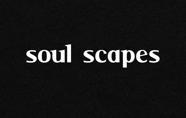 Soul Scapes品牌VI设计基础部分