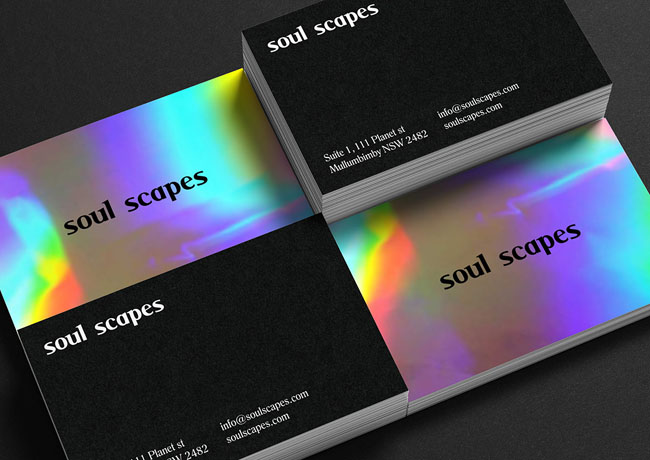 Soul Scapes品牌VI设计基础部分
