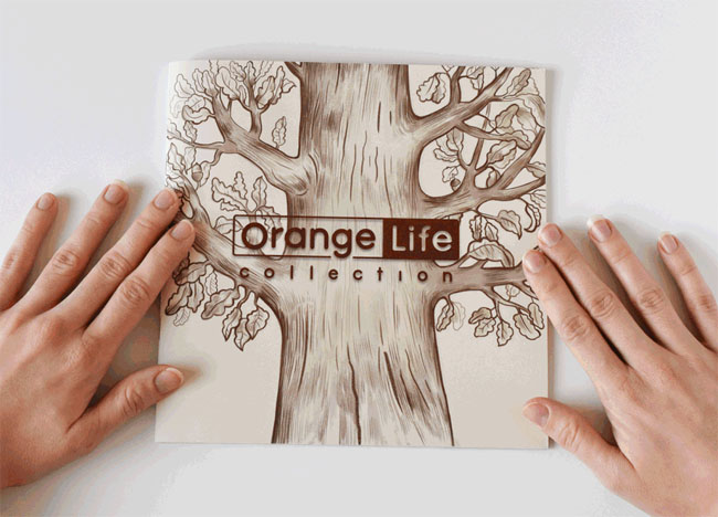 Orange Life玩具公司目录画册设计