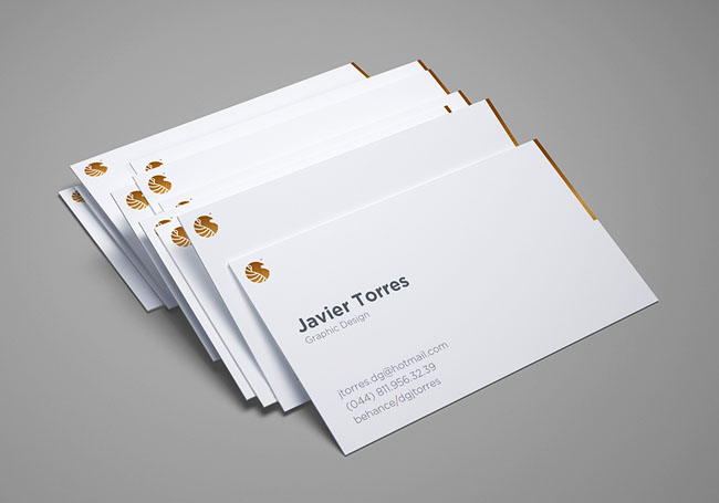 墨西哥设计师Javier Torres极简名片设计