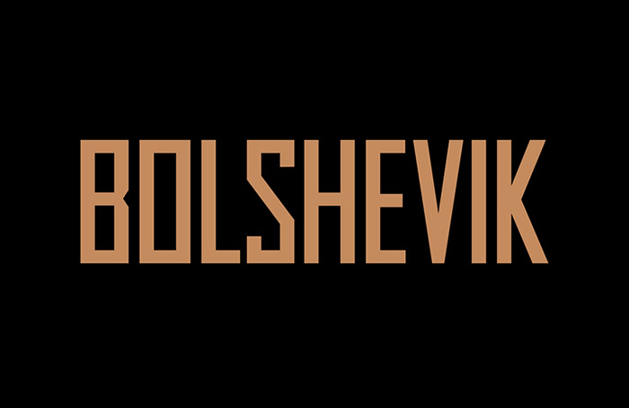 BOLSHEVIK地产项目画册设计作品