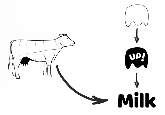 国外MilkUp!牛奶品牌包装设计作品