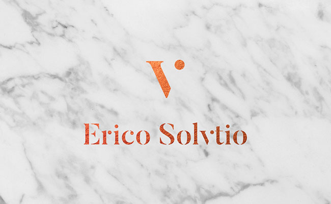 Erico Solvtio地产投资品牌VI设计